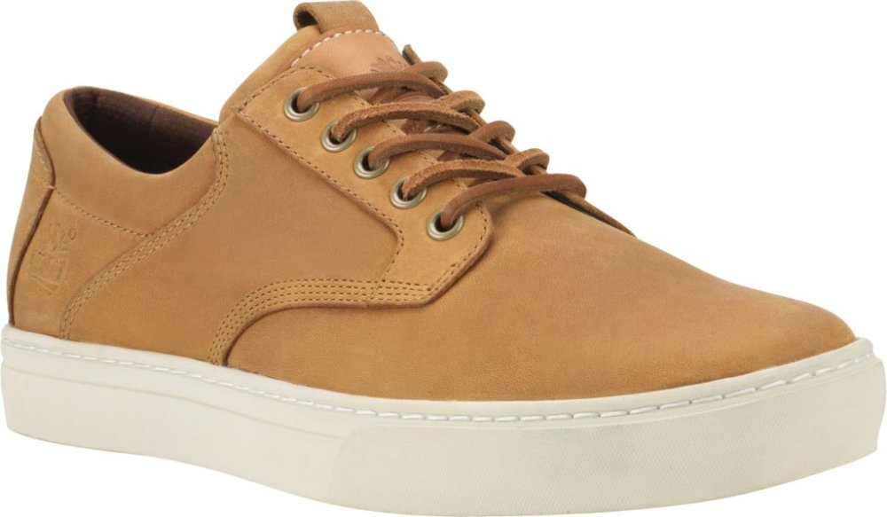 Nowa kolekcja w Timberland 5